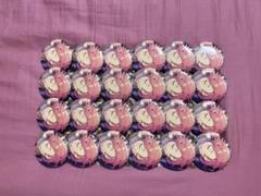 あんスタ 桜河こはく フィーチャー缶バッジ 開花前 24個セット あんスタ 桜河こはく フィーチャー缶バッジ 開花前 24個セット
