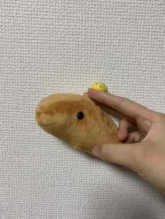 カピバラさん おもちゃ ぬいぐるみ キャラクター