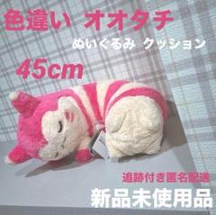 ぎゅっと抱くっしょん オオタチ ｜【公式】ポケモンセンター