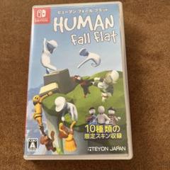 HUMAN fall flat (Nintendo Switch)