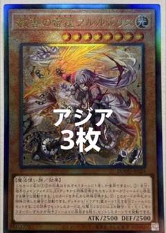 教導の雷霆フルルドリス レリーフ ３枚 ドゥームオブディメンション 遊戯王アジア