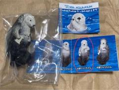 2025年最新】鳥羽水族館キラの人気アイテム - メルカリ