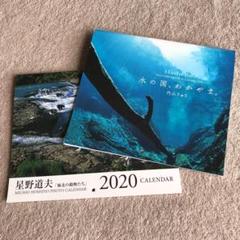 星野道夫 内山りゅう カレンダー