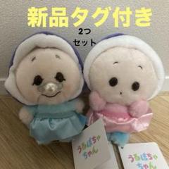 うるぽちゃちゃん2周年 ヤングオイスターとおばあさんかきヽ