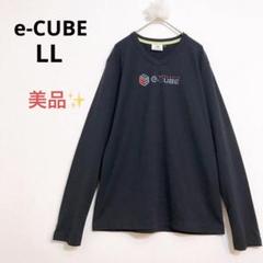 【美品】イーキューブ 長袖Tシャツ Vネック コットン プリント ブラック LL