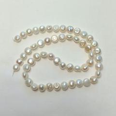[天然色]バロック　1本売り　約40cm PB424