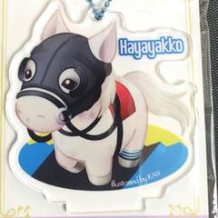 2025年最新】jra アクリルスタンドの人気アイテム - メルカリ