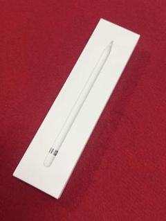 【メ 0404-11】 Apple Pencil(第1世代) 未動作 Apple Pencil 第2世代専用 ケース ハード ノック式 クリップ