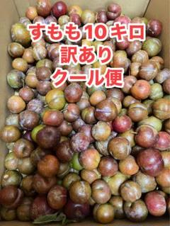 鹿児島産すもも10キロ - メルカリ