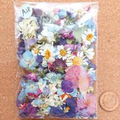 Ａ28/訳ありドライフラワー押し花 花材 詰め合わせのサムネイル