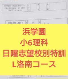 2025年最新】浜学園Lコースの人気アイテム - メルカリ