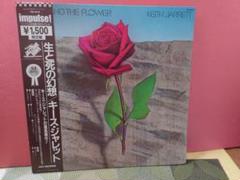 生と死の幻想」キース・ジャレットLPレコード 国内盤 - メルカリ