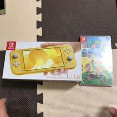値下げ可 Nintendo Switch light あつまれどうぶつの森セット