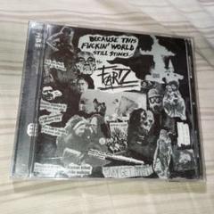 The Fartz - Because This Fuckin' World