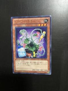 2025年最新】処分 遊戯王の人気アイテム - メルカリ