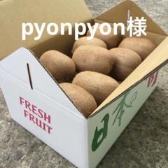 pyonpyon様専用 芯が甘い！【二級品】和歌山県産キウイ 4L 18個