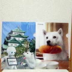 新品 未開封 非売品 ソフトバンク お父さん犬 A4クリアファイル 2枚セット