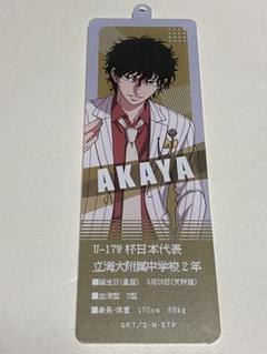 【テニプリ】切原赤也☆テニプリストフォトミラー 限定】フォトミラー テニプリスト2023 SUMMER 切原赤也: 公式