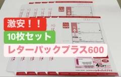 本体折らずに発送　レターパックプラス600×10枚セット レターパックプラス（600円）（20部セット）｜郵便局のネット