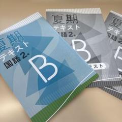 ■2025年度新版【夏期テキスト国語2年B】基本から標準的な学力へステップUP！