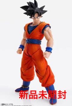 IMAGINATION WORKS 孫悟空 『ドラゴンボールZ』