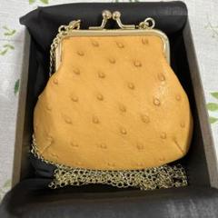 RODANIA オーストリッチ ベージュハンドバッグ RODANIA オーストリッチ ベージュハンドバッグ - メルカリ