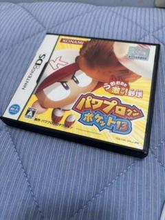 パワプロクンポケット13　説明付き！
