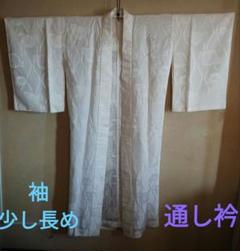 淡いクリーム色のぼかしに雲と菊　長襦袢（胴抜き、袖無双） C1170100121011 振袖／更紗ぼたん／純白 | きものやまと｜振袖