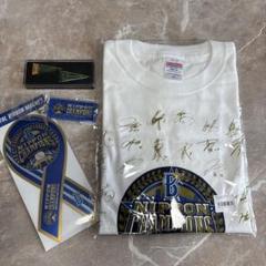 横浜DeNAベイスターズ 日本シリーズ 優勝記念 マグネット