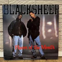 BLACKSHEEP / Flavor of the Month