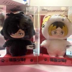 【即購入◎】ハイキュー!! 黒尾鉄朗 ぬいぐるみ ハイキュー!! おでかけぬいぐるみ 黒尾鉄朗 – IG Port ONLINE STORE