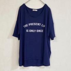 N28　Sunny picnic　Ｔシャツ　前面プリント　ネイビー　LL