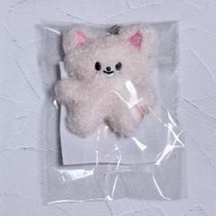 straykids スキズ skzoo マイクロ キーリング トレカ セット