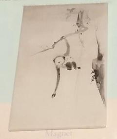真作/狩野安信/滝見白衣観音図/観音図/仏画/古画/掛軸☆宝船☆AH-668 真作/狩野安信/滝見白衣観音図/観音図/仏画/古画/掛軸☆宝船☆AH-668