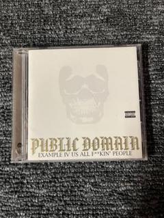 PUBLIC DOMAIN 国内　ハードコア　NYHC
