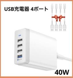限定1点❣️USB充電器 4ポート 40W ケーブル付き