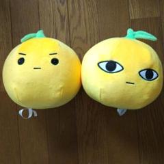 島ビスケ 島なるオぬいぐるみ