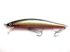 TKGさん専売ザウルストラウト
