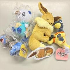 大器晩成　モノズ　マスコット　ぬいぐるみ　メタルチャーム　セット 進化するほど強くなる！ 「大器晩成」なポケモンたちのかわいい