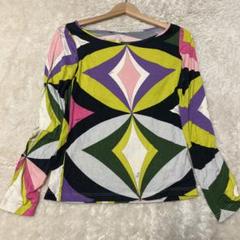 エミリオプッチ】tシャツ ジップアップ鳥バード