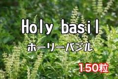 ホーリーバジル種 150粒