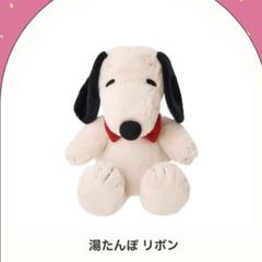 未使用】レア品 スヌーピー 湯たんぽ 約30cm オリジナルボックス付き