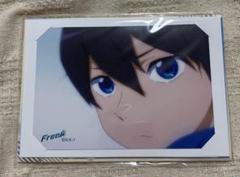 2025年最新】free!七瀬遥の人気アイテム - メルカリ