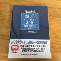 少し豊富な贈り物 司法書士試験 雛形コレクション300 商業登記法