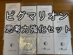 ピグマリオン 未記入 思考力強化 さいころ 立体認識 まほうじん