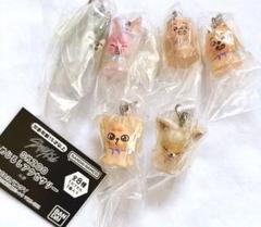 2025年最新】skzoo キーホルダー チャームの人気アイテム - メルカリ