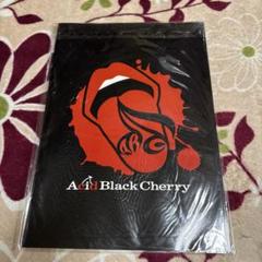Acid Black Cherry フリーライブ パンフレット