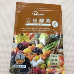 万田酵素GINGER 分包タイプ 77.5g(2.5g×31包)