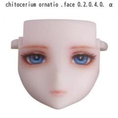 chitocerium ornatio .face 0.2.0.4.0. α