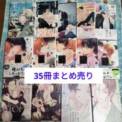 BL 35冊まとめ売り 小冊子・特典付き - メルカリ